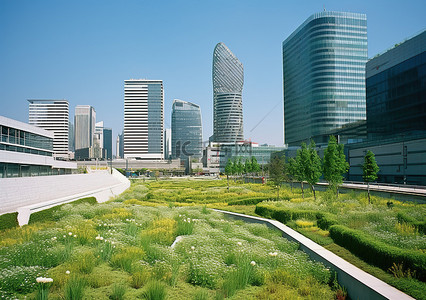 绿地中心背景图片_首尔商业和办公楼附近的绿地