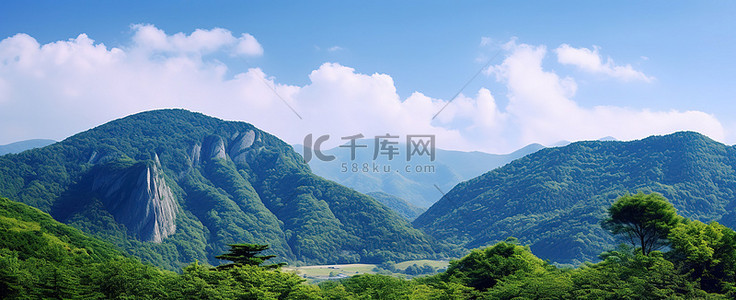 铁证如山背景图片_山林如画