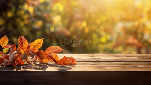 秋天植物背景图片_秋天树叶日光木桌广告背景