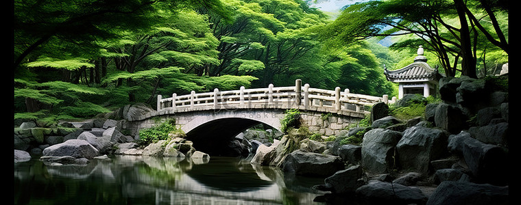 大自然中的一座桥横跨一条小溪
