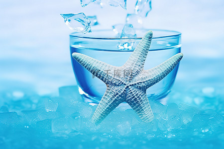 蓝色冰背景背景图片_水中冰上的海星