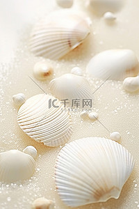 桌子散落背景图片_白色的贝壳散落在白色的桌子上