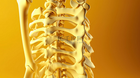 3d 中的脊柱结构在充满活力的黄色背景下呈现