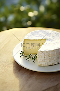 蓝莓奶酪背景图片_橄榄树郊外的一块奶酪