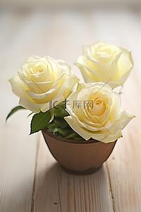 在背景图片_两朵白玫瑰坐在木碗里