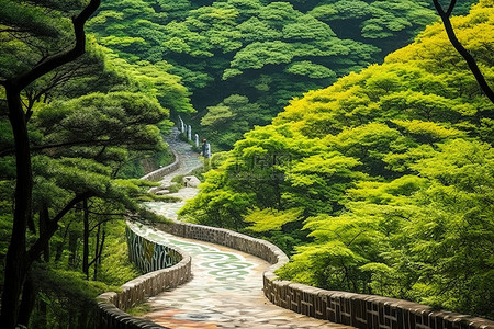 韩国森林里的一条山路