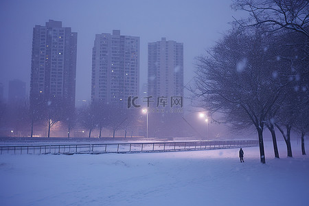 落背景图片_雪花落在白雪皑皑的公园里