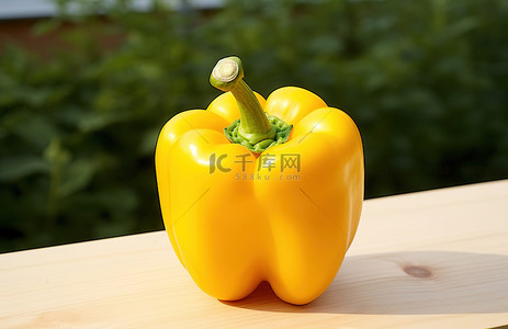 白色背景上的一个黄色甜椒