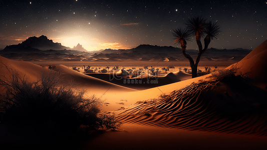 沙漠黑夜风景