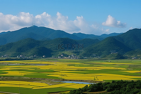 高铁铁背景图片_从山顶看稻田