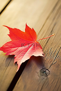 秋天红枫叶背景图片_木桌上躺着一片红枫叶