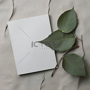 框架叶子背景图片_靠近一张纸和一片叶子的绿叶记事本