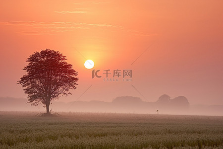 城市孤独背景图片_一棵孤独的树矗立在田野里，太阳在它身后