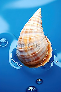 在背景图片_蓝色背景中坐在水滴上的贝壳