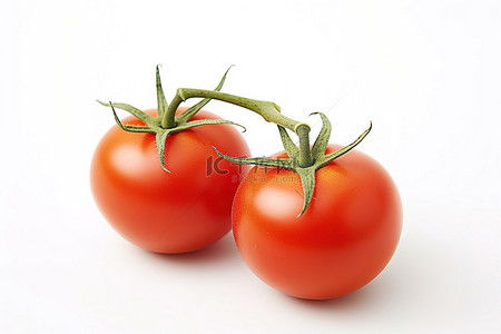 两个西红柿坐在茎上