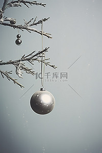 冬天的树枝背景图片_一根圣诞树枝，上面挂着两个装饰品