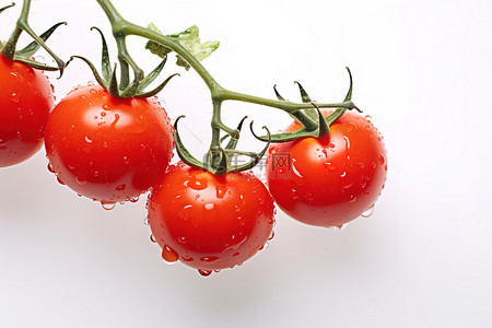 白色水滴背景图片_白色背景上有滴水或水滴的一堆番茄