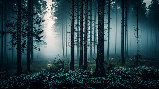 森林大雾写实背景