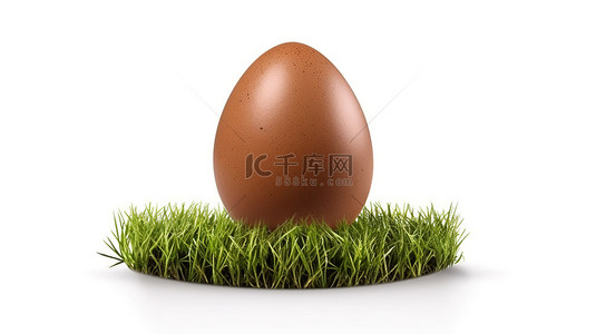 白色背景，3d 渲染的棕色鸡蛋搁在郁郁葱葱的绿草上