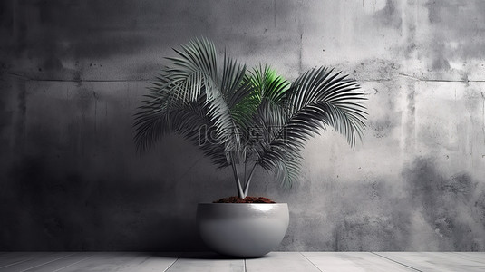 盆栽棕榈树 3D 渲染为混凝土墙内部增添了维度