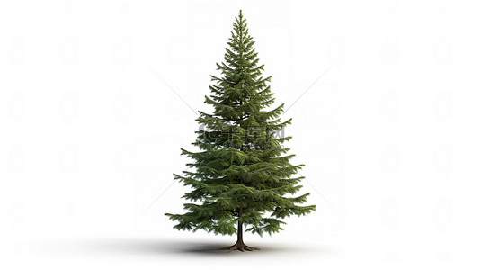 白色圣诞树背景图片_3D 渲染一棵孤立的绿松圣诞树，白色背景，非常适合横幅设计