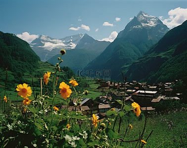 山顶上的一个村庄，中间矗立着一朵黄色的花