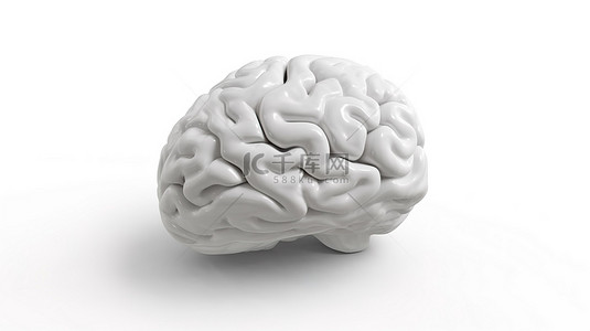 脑医疗背景图片_在干净的白色背景上 3d 渲染的白脑