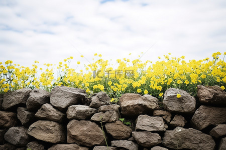 被黄色花朵和云包围的岩墙