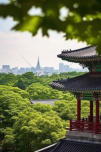 高路背景图片_树木葱郁的韩国宫殿