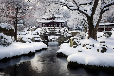 首尔太白白雪覆盖的花园