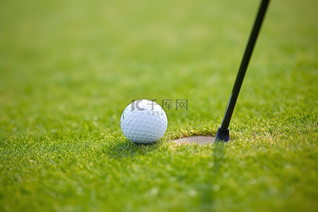 俱乐部成立背景图片_高尔夫球俱乐部在草地上拿着高尔夫球