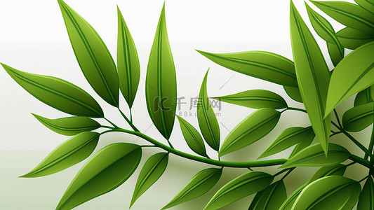 竹叶竹子自然绿色背景