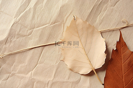 一把艾草背景图片_一张纸，上面有天然切割的秋叶和一把锯子
