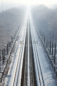 冬季森林中的南科罗纳达火车轨道