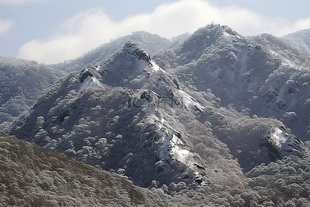 暴风雨后山坡被雪覆盖