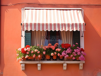 漂亮的花背景图片_漂亮的窗框，上面有鲜花和天篷
