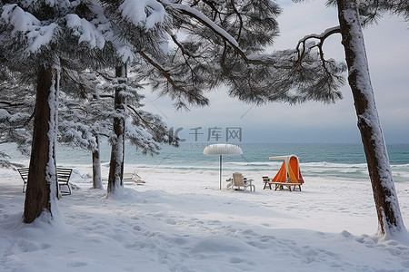 潜水装备背景图片_雪域海滩，配有树木潜水装备和沙滩伞