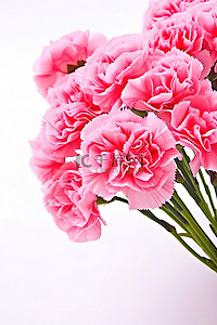 iphone12控件背景图片_12 件装人造粉色康乃馨花装饰