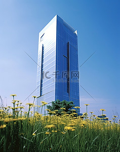一座大型办公楼，高高的草丛中，开着一朵黄色的花