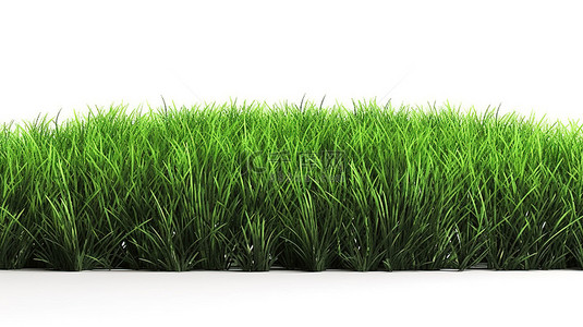 夏日剪切背景图片_运动场 3d 渲染绿草隔离在白色背景与剪切路径