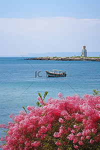 一艘船和粉红色的花朵在海岸的海洋前