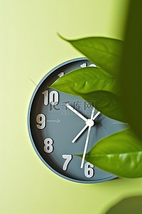 一个有绿叶的时钟