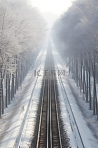 冬季森林中的南科罗纳达火车轨道