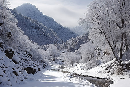 开车景象背景图片_罗萨农的树木和山脉的冬季景象