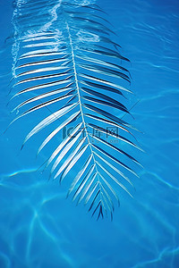 寒假旅行记背景图片_蓝色泳池中的棕榈叶