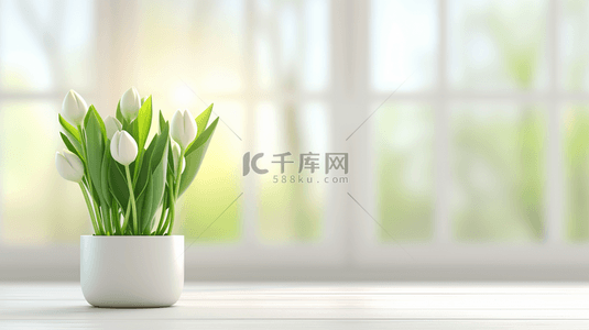 宣讲室内背景图片_白色简约室内场景清新花瓶盆栽的背景14