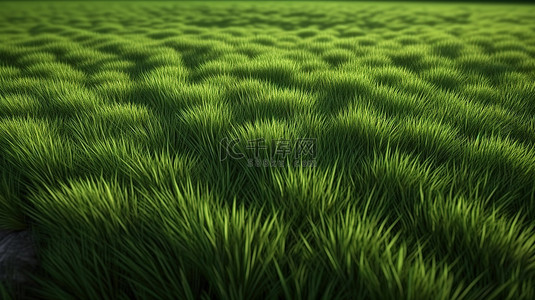 以郁郁葱葱的绿草纹理为背景的特写 3D 渲染
