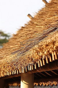 稻草背景图片_一座古建筑的屋顶