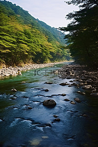 流淌水背景图片_河流沿着森林流淌