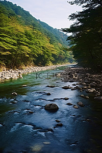 河流森林背景图片_河流沿着森林流淌